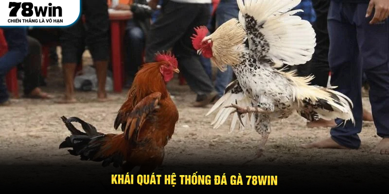 Khái quát hệ thống đá gà 78WIN